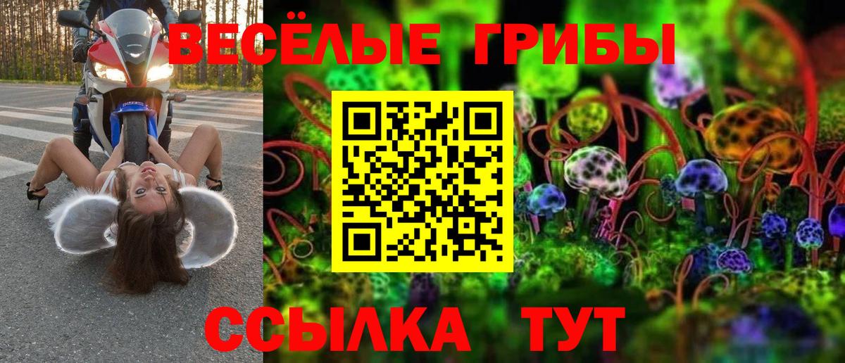 Галлюциногенные грибы мухоморы  Галлюциногенные грибы Psilocybe  Вход с VPN  Липецк 